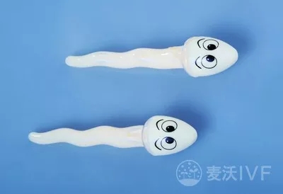 台湾试管婴儿：男性精子DNA碎片太多，会造成女性不孕