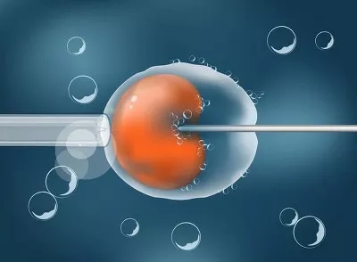 胚胎也分三六九等 你的胚胎能得几分?