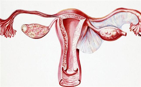 专家解答卵巢储备功能下降、卵巢反应差患者是否继续做试管？