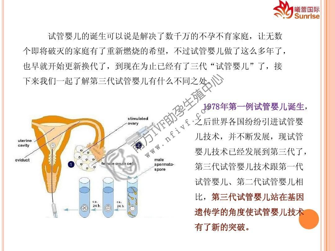 广州三代试管_2