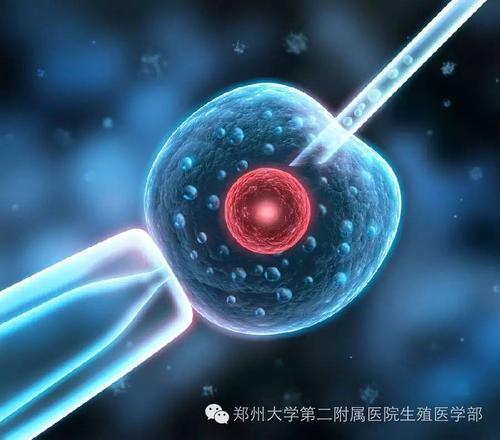 同济大学附属东方医院试管婴儿价格多少钱