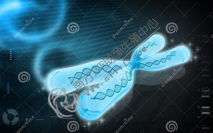 广州军区广州总医院做试管需排队