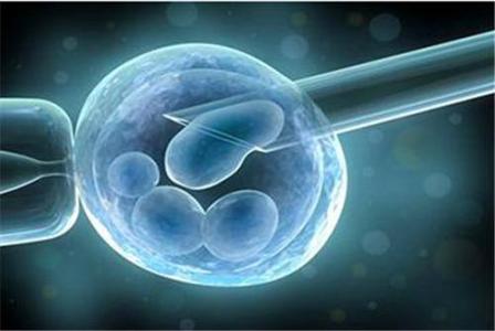 ​胚胎移植后出血是不是流产了