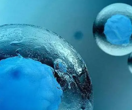 Hello IVF：卵泡质量的影响因素有哪些？